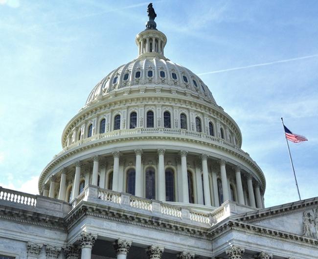 congressional reports